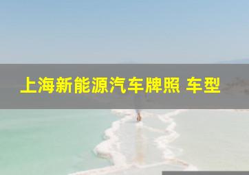 上海新能源汽车牌照 车型